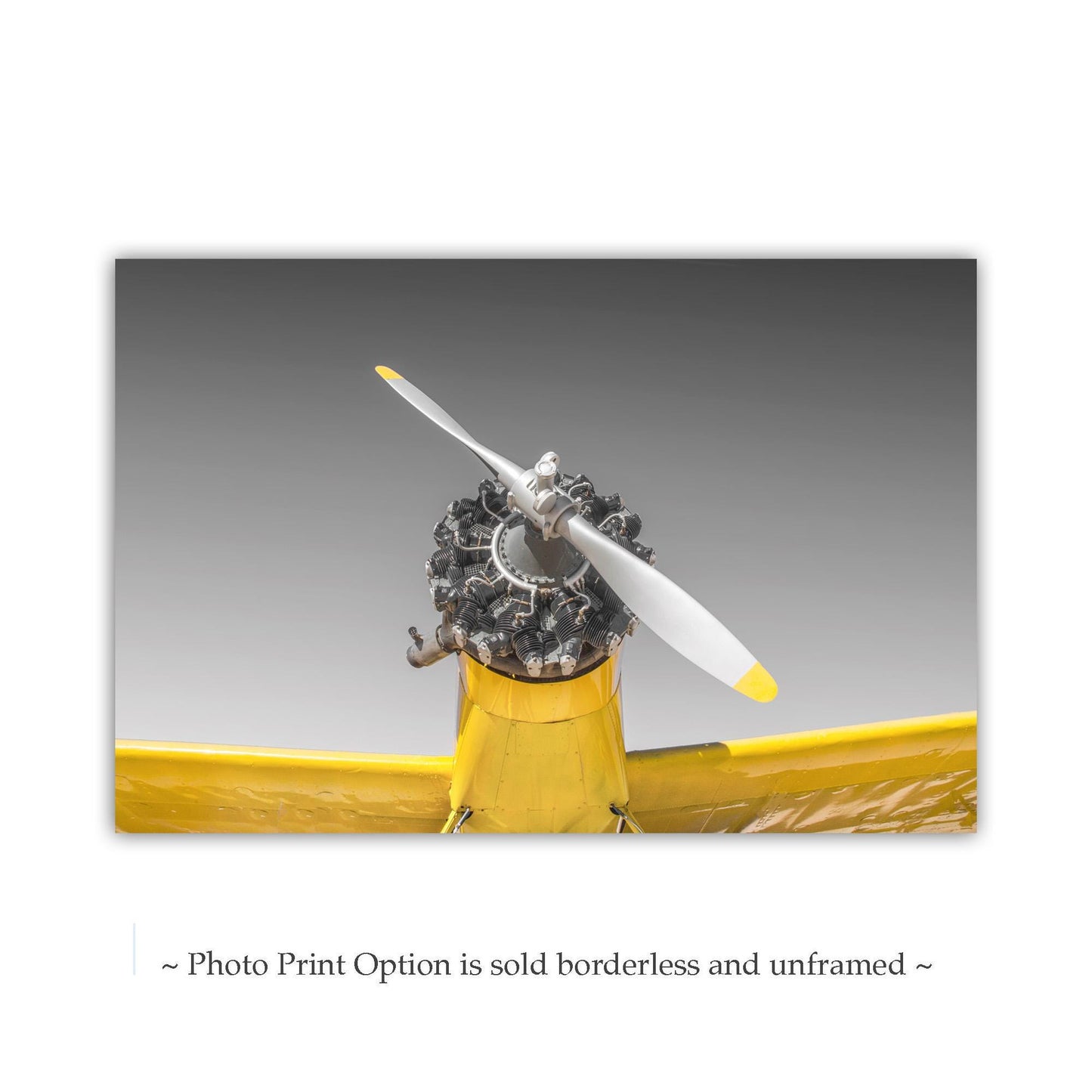 Aviation Wall Decor with Vintage Crop Duster Airplane as Pilot Gift