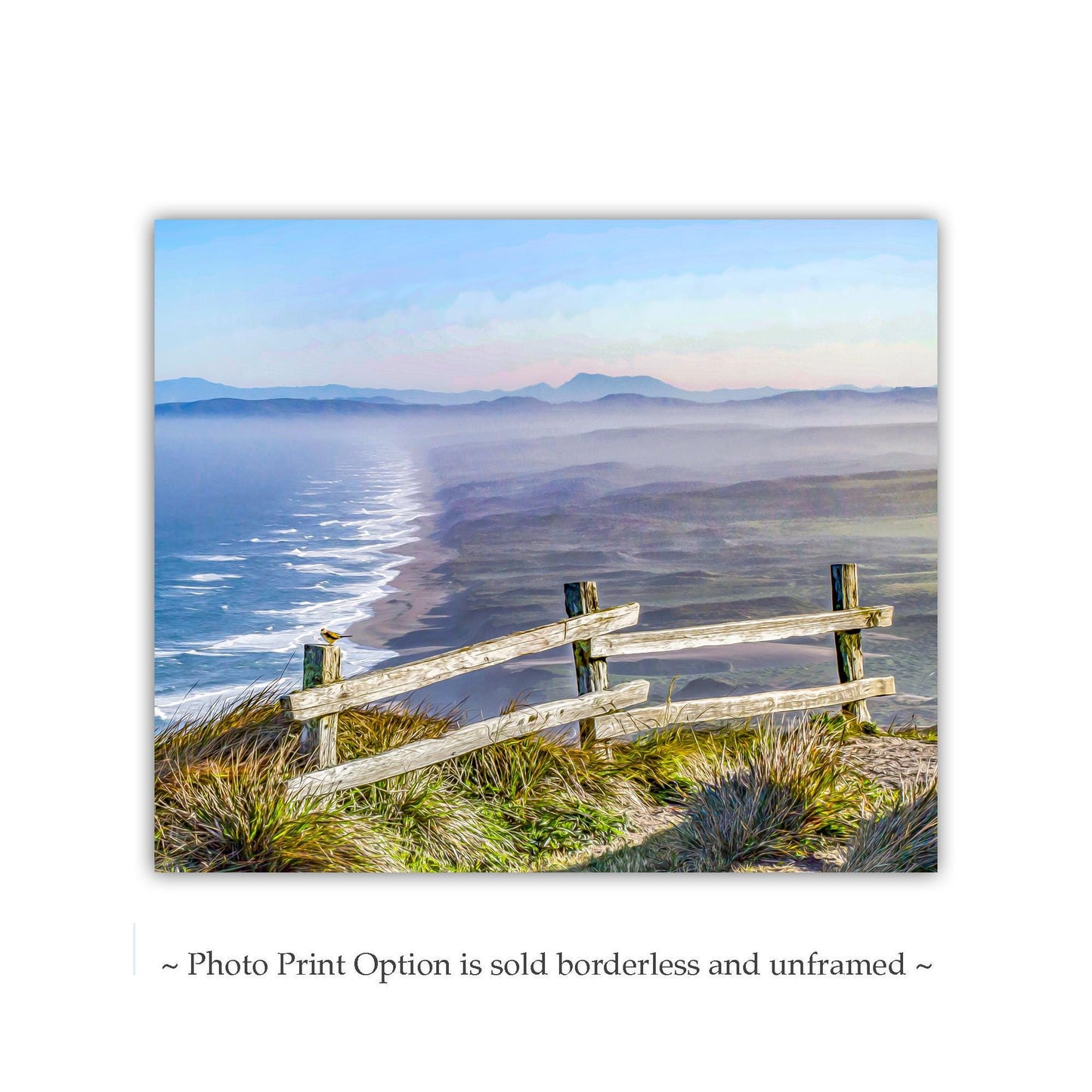 Point Reyes National Seashore California Coast Art Print with Little Bird