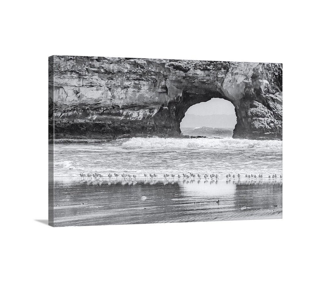 Santa Cruz California Beach Natural Bridge Sea Arch Print with Seabirds