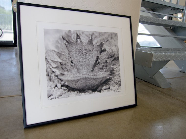 Horned Lizard Art Print in Black and White