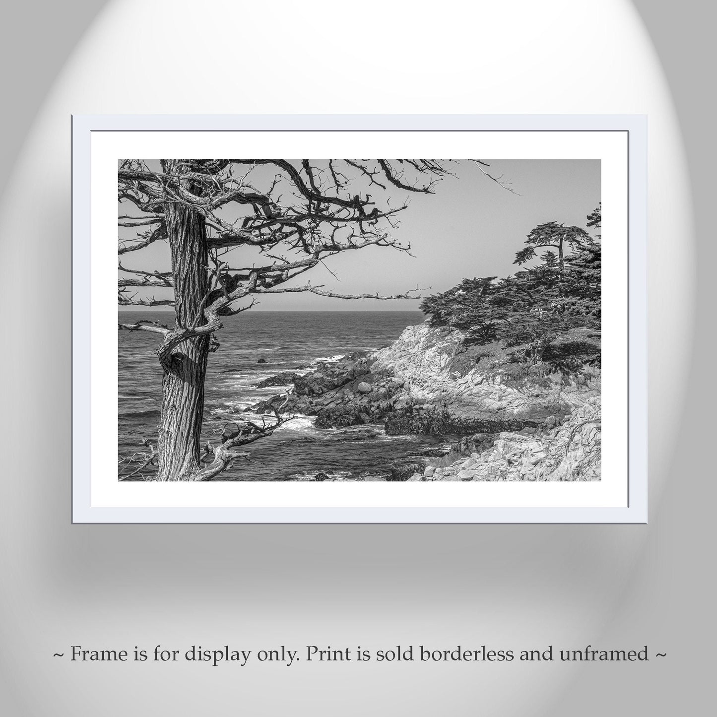 Black and White Carmel by the Sea Monterey California Coast Art Print