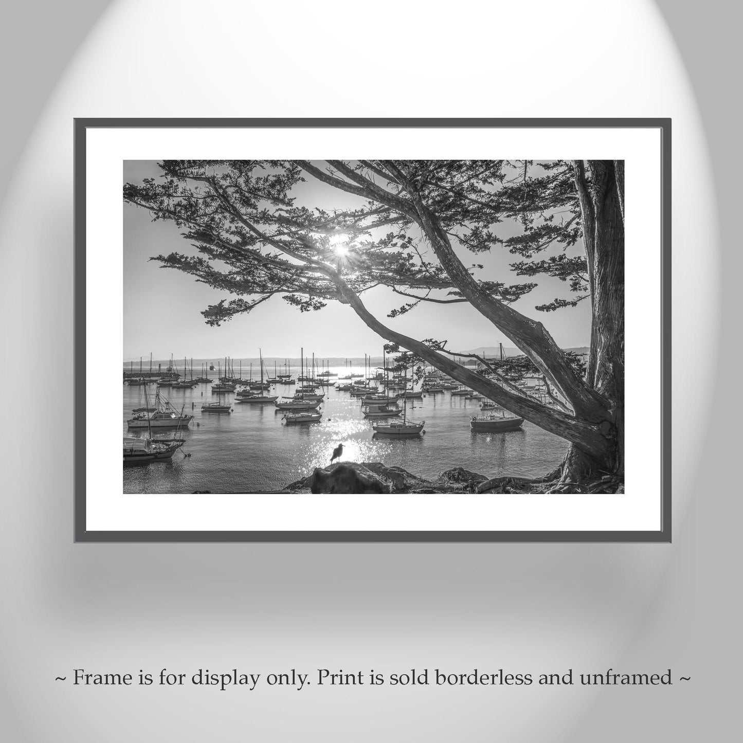 Monterey Bay Sailboat Yacht Harbor Art Print in Black and White