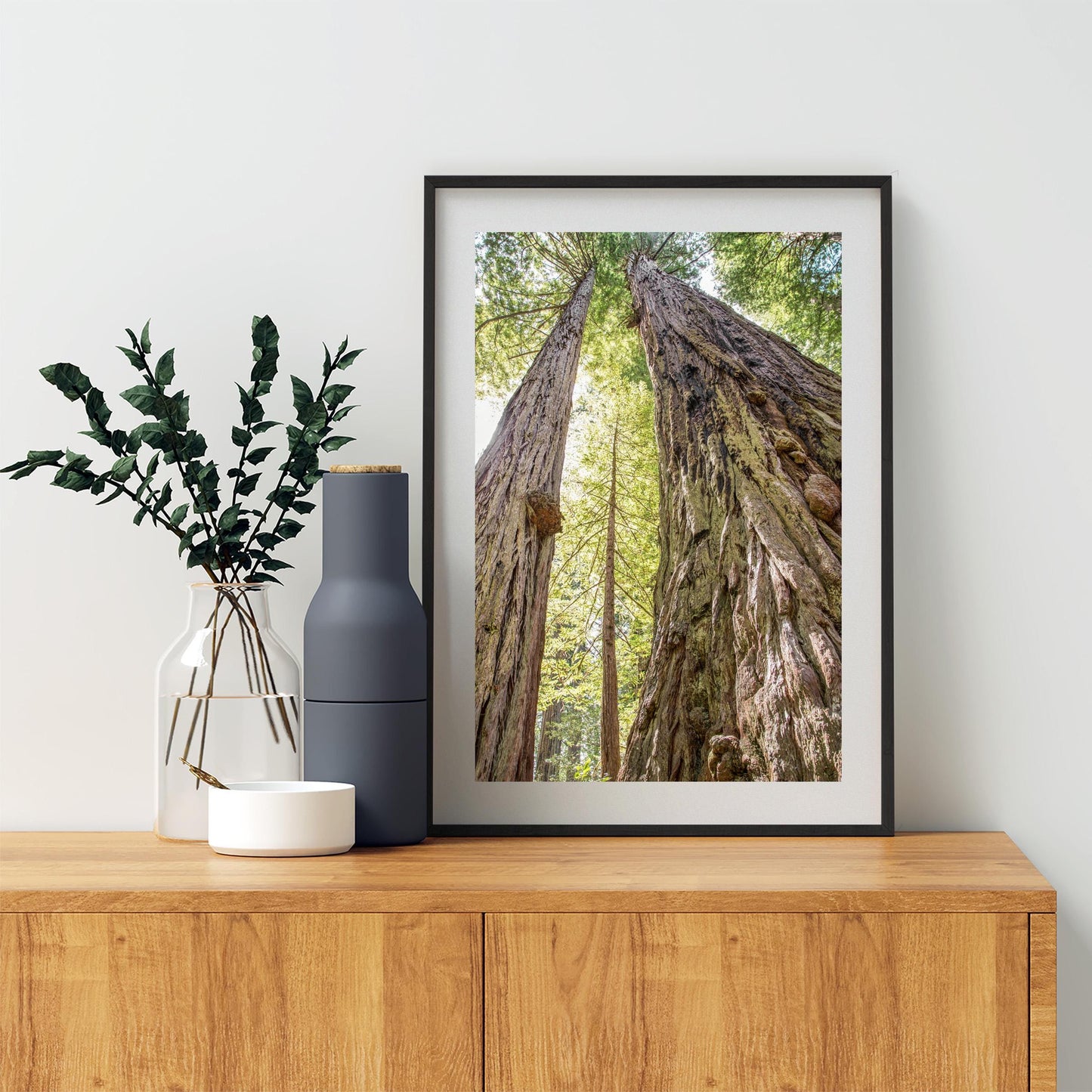 Big Basin Santa Cruz Redwood Forest Art – Vertical Tree Photo