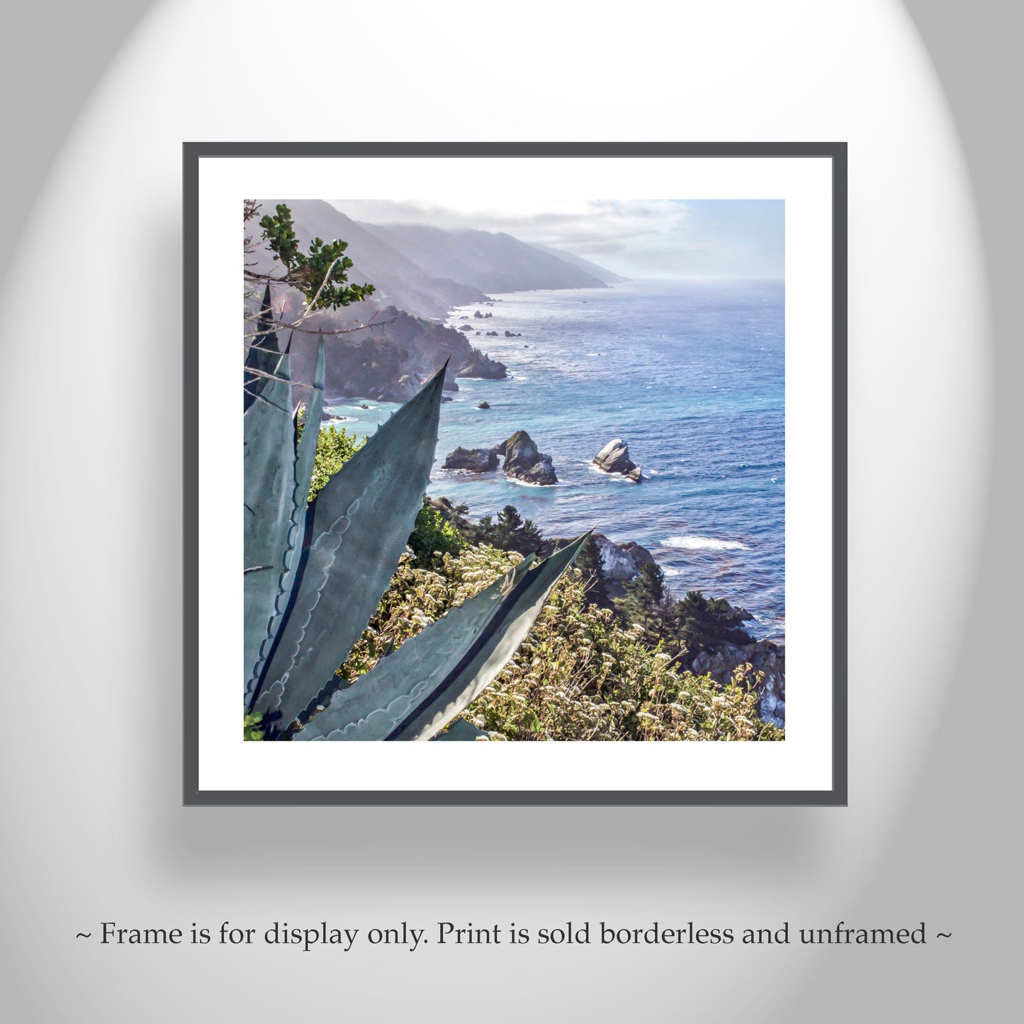 Big Sur Agave Photography Print at California Coast as Home Decor