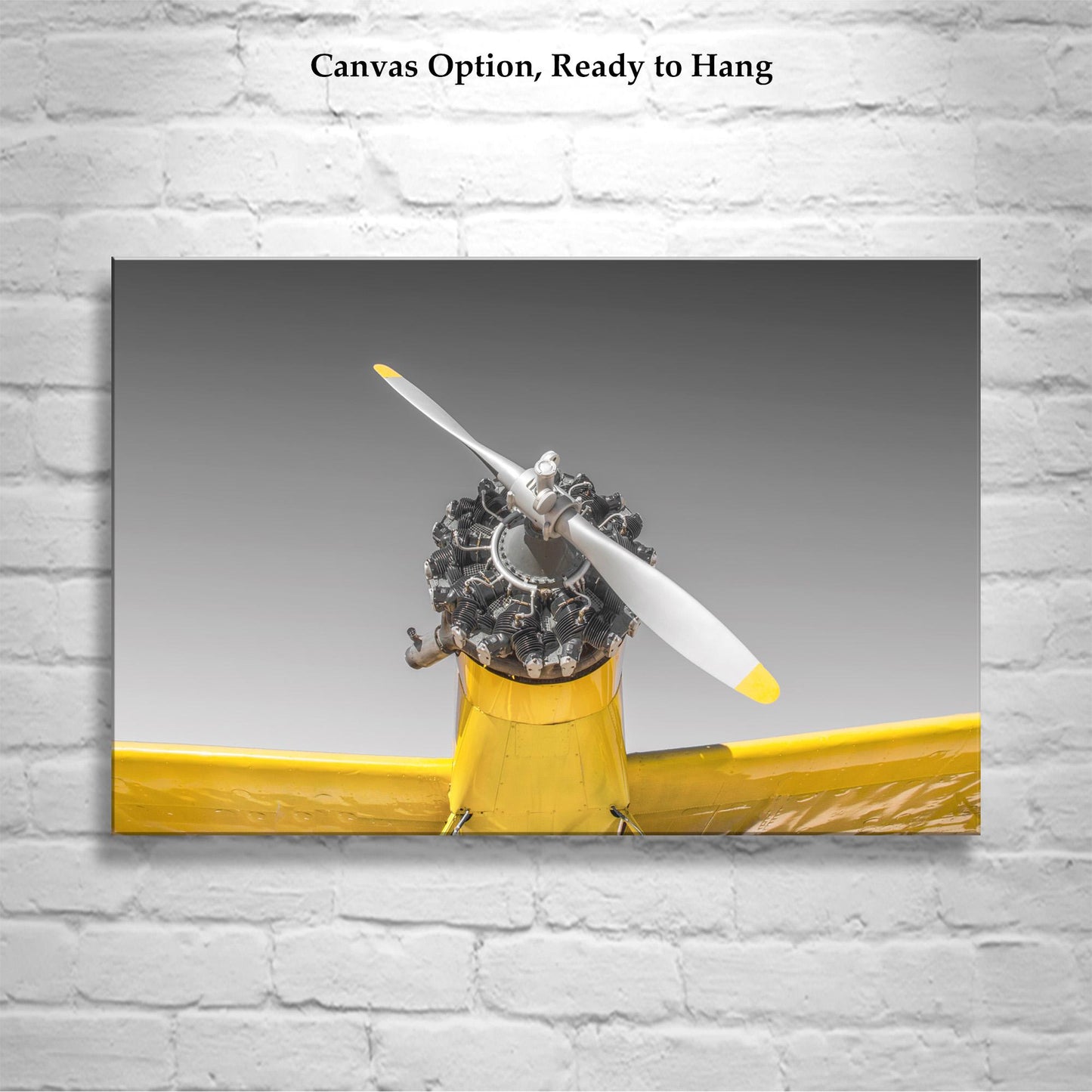 Aviation Wall Decor with Vintage Crop Duster Airplane as Pilot Gift