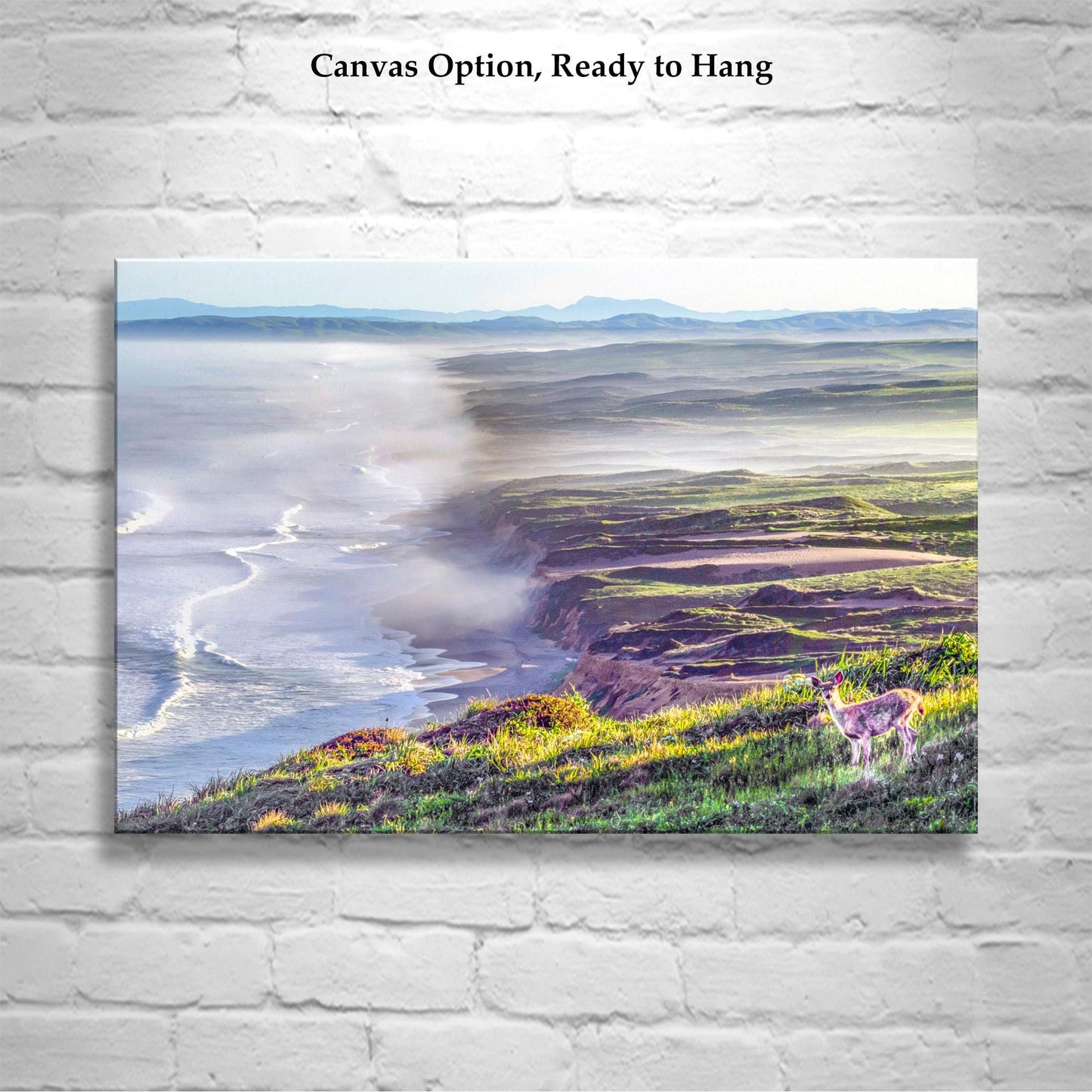 Point Reyes Print with Marin County Beach and Wild Deer