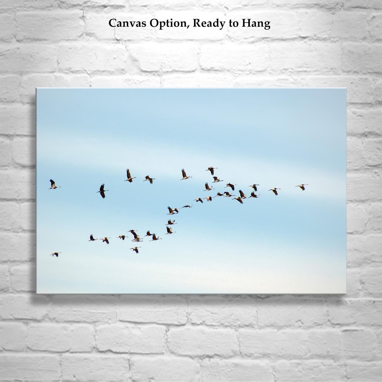 Flying Sandhill Cranes – Southern Arizona Wildlife Fine Art Print