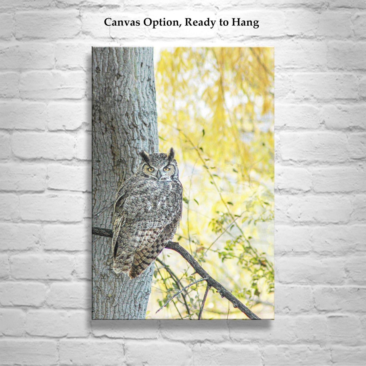 Great Horned Owl Wall Art – Arivaca Arizona Bird Print with Fall Colors