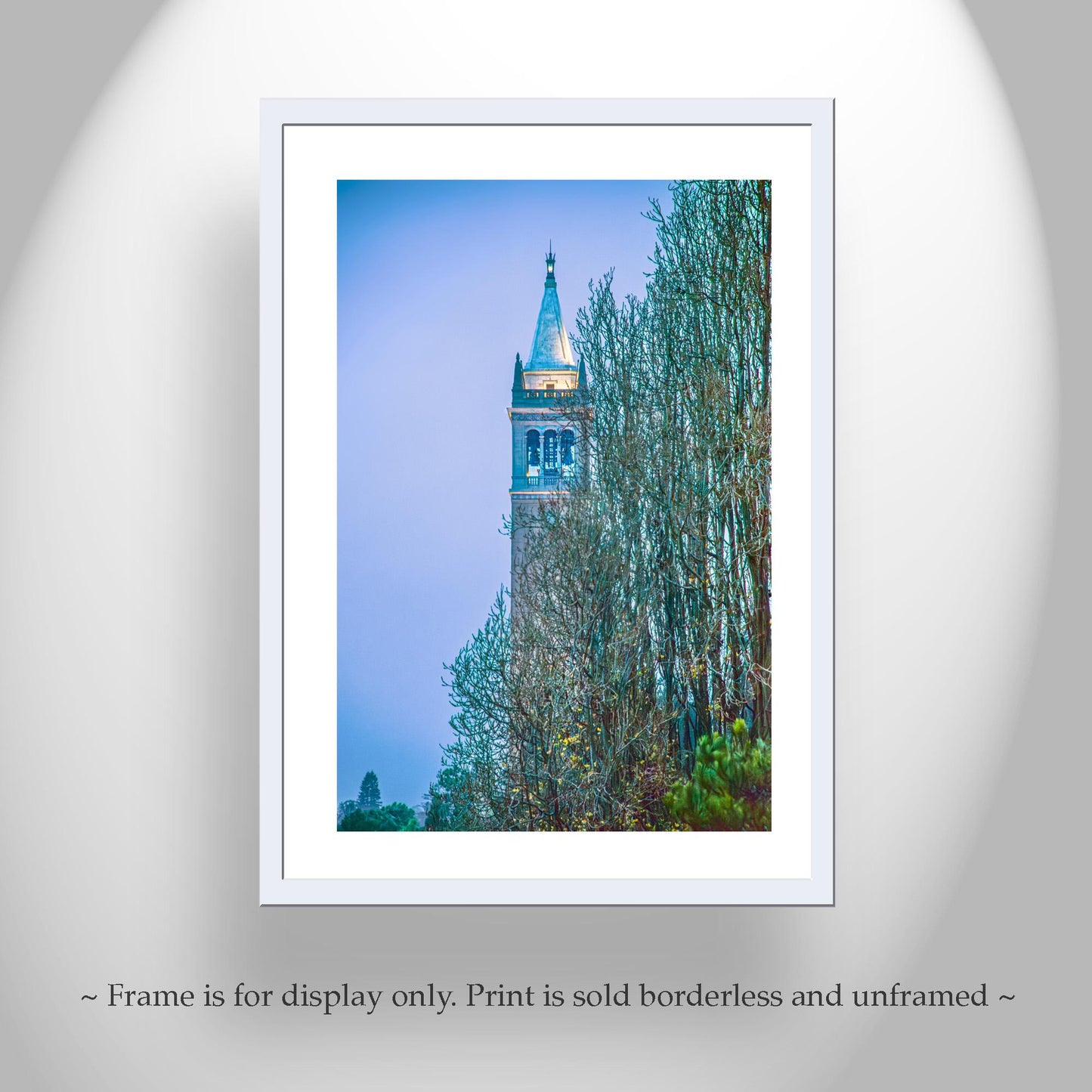 Cal Berkeley Sather Tower Campanile Wall Art – Architecture Photo Art