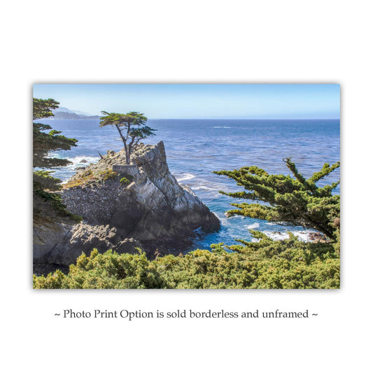 Carmel Lone Cypress Art Print - 17 Mile Drive Pebble Beach CA Photo