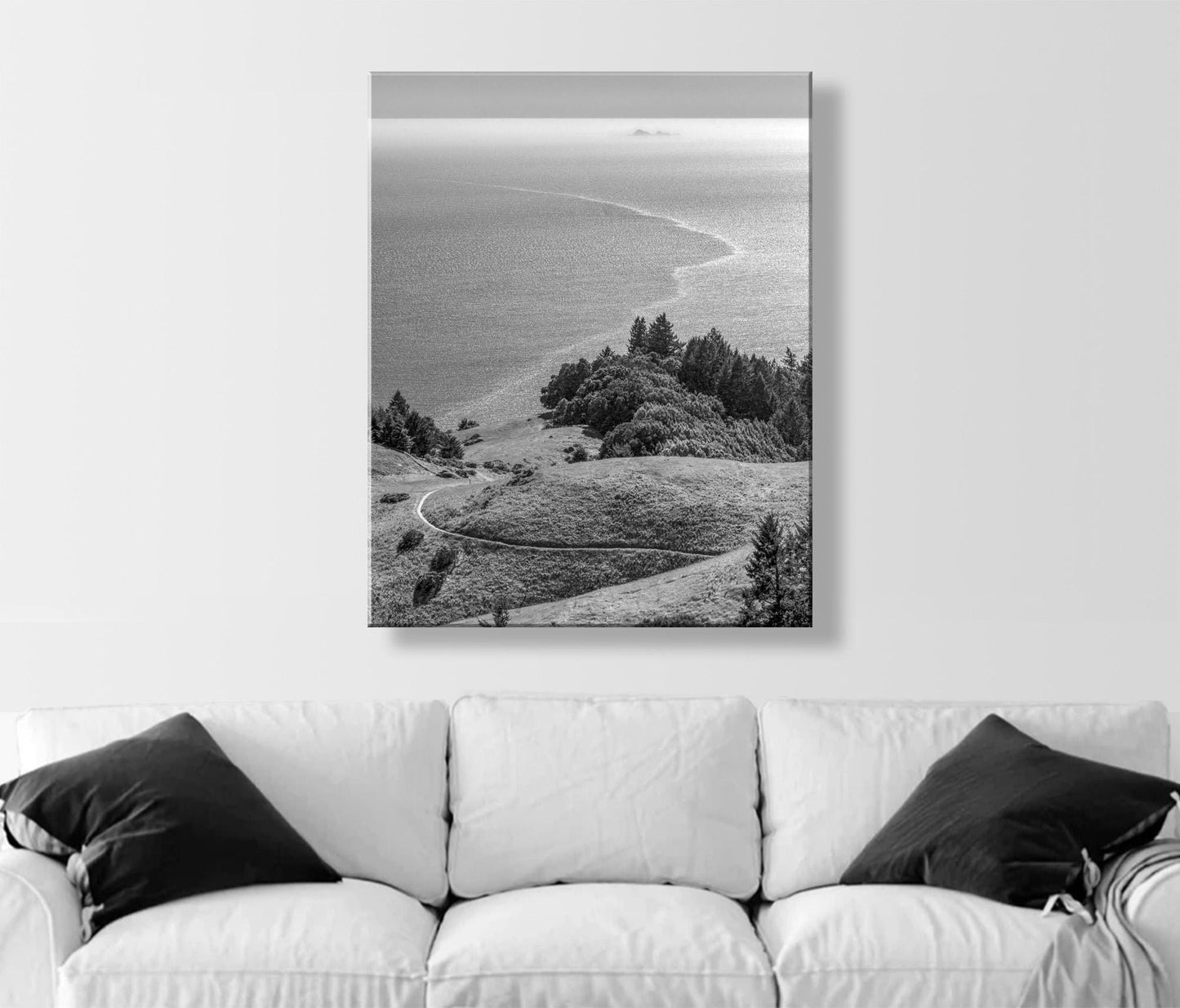 Mount Tamalpais Marin County California Black and White Art