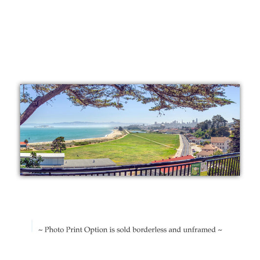 Crissy Field Panoramic Art Print | San Francisco Bay Cypress Tree Photo