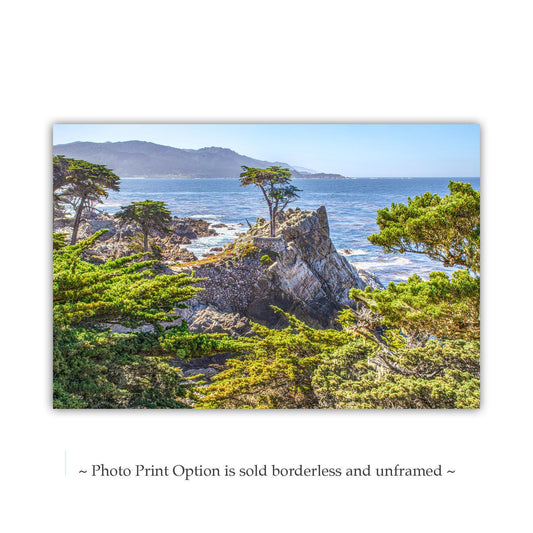 Lone Cypress Tree Art Print - Pebble Beach 17 Mile Drive Carmel CA