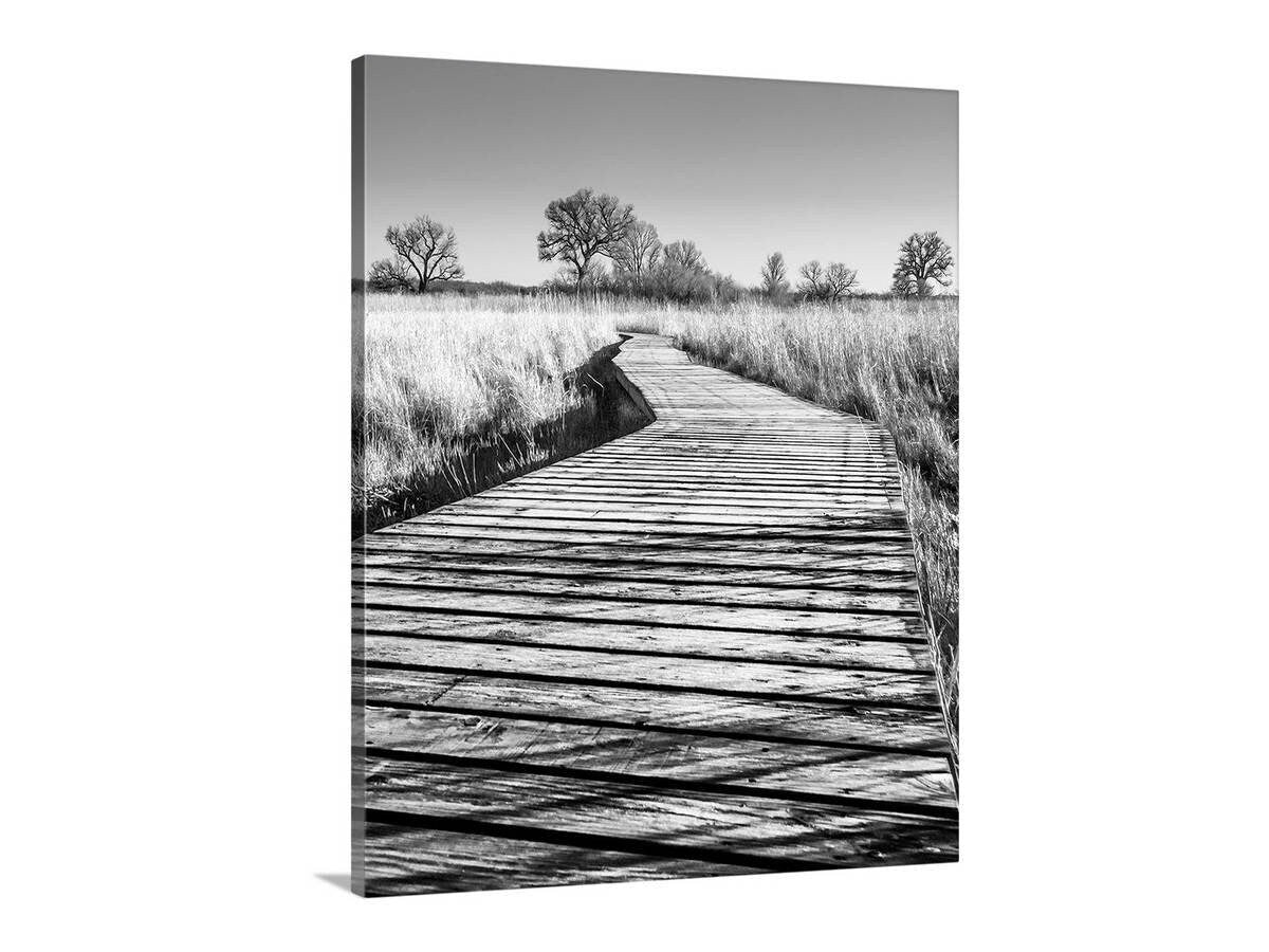 Surreal Black & White Boardwalk Art Print | Arivaca Cienega Arizona