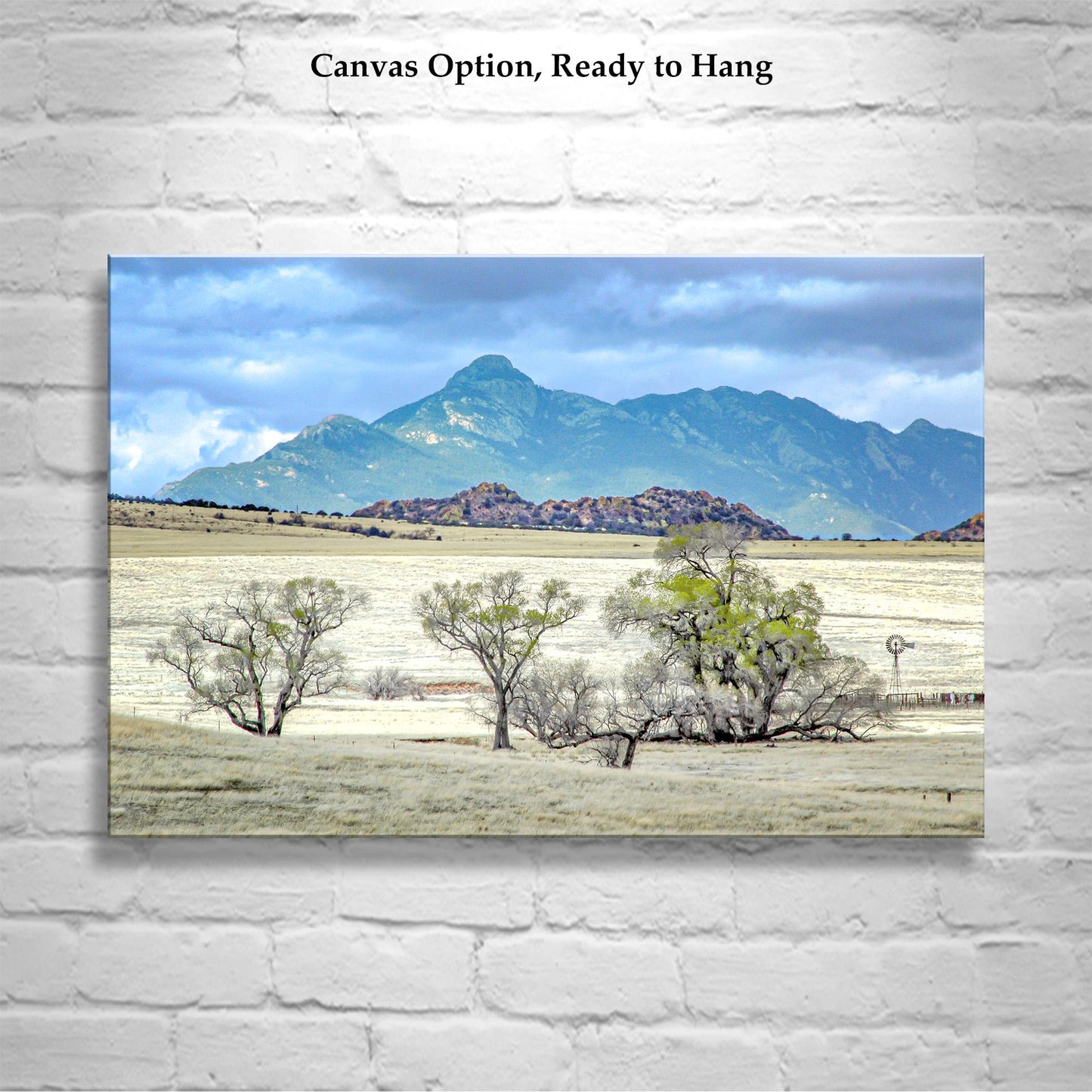 San Rafael Valley Ranch Landscape Print – Santa Rita Mountains Art