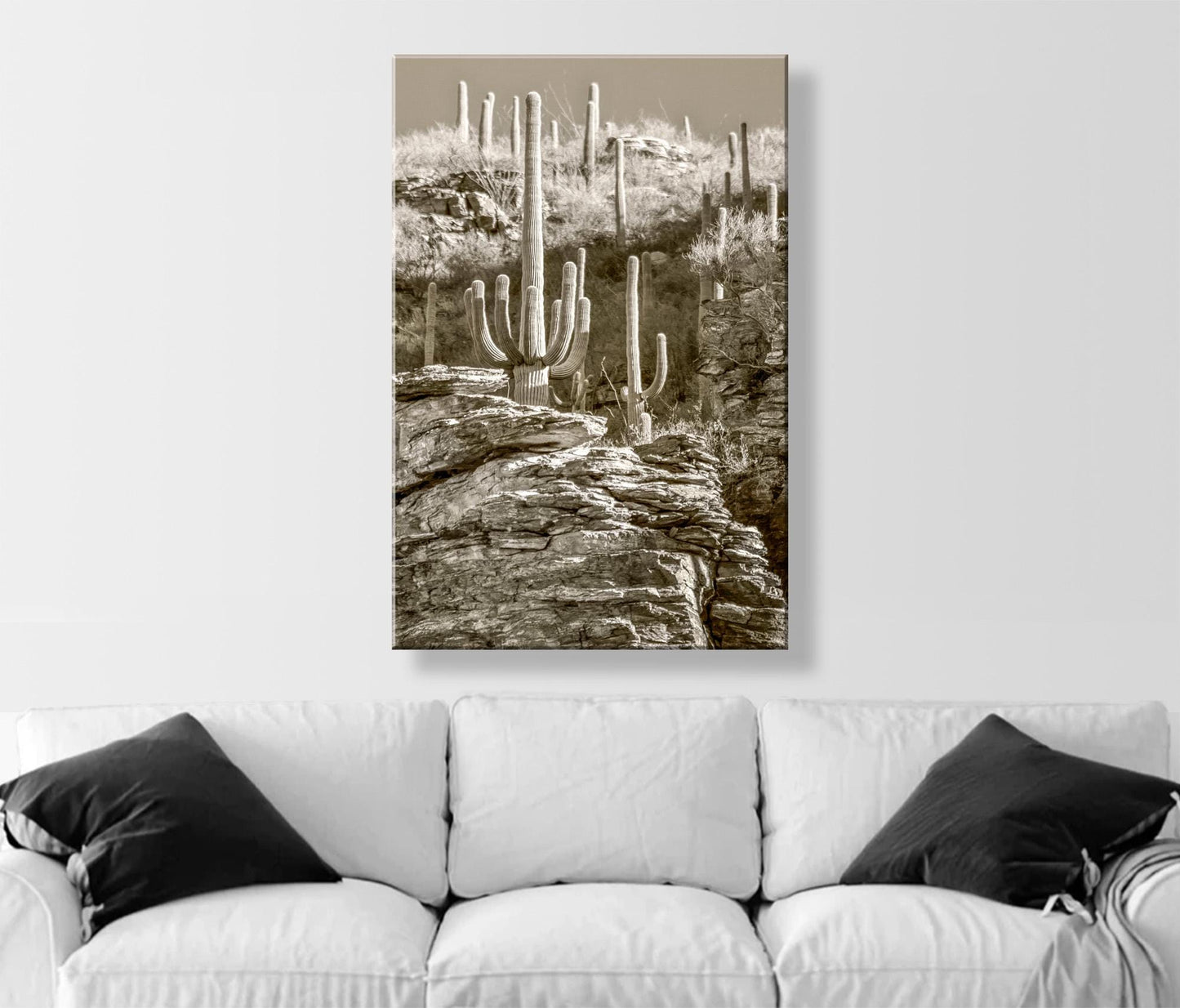 Tucson Catalina Mountains and Saguaro Cactus Wall Decor in Sepia