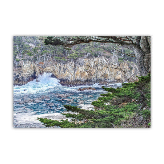 Point Lobos Big Sur Wall Art Print Carmel California Coast Photo