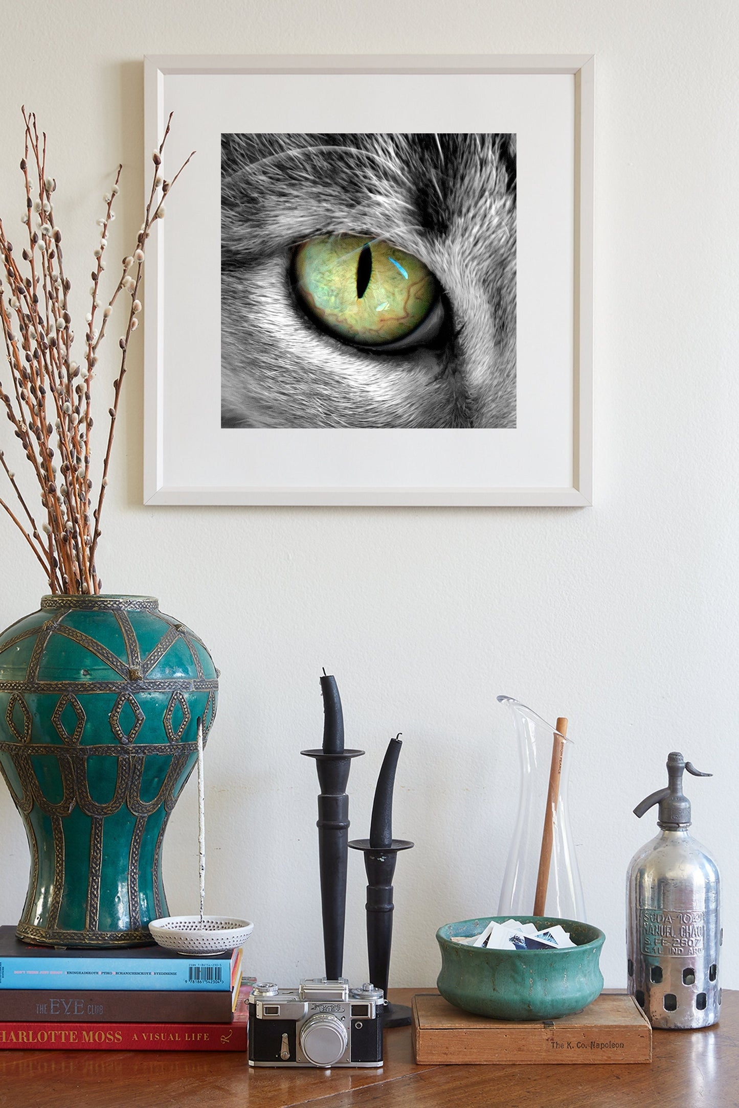 Cat Eye Photograph as Feline Pet Lover Gift