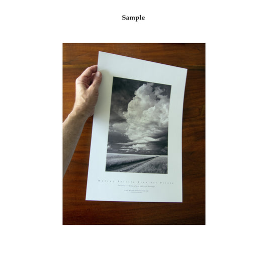 A hand is holding a framed photograph of a cloudy sky over a field, with the text "Sample" above it.