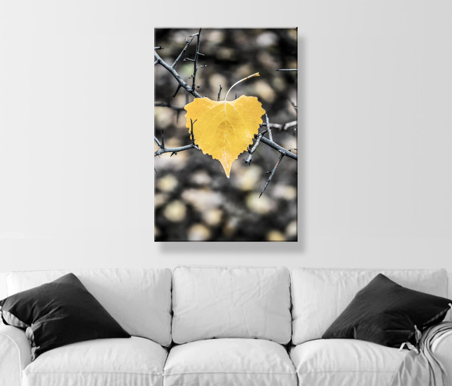 Autumn Cottonwood Leaf Art Print | Arivaca Arizona Fall Nature Photo