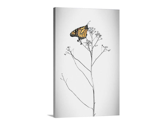 A black and white image of a butterfly perched on a branch of a plant. Monarch Butterfly Art - Minimalist Nature Photography Wall Print