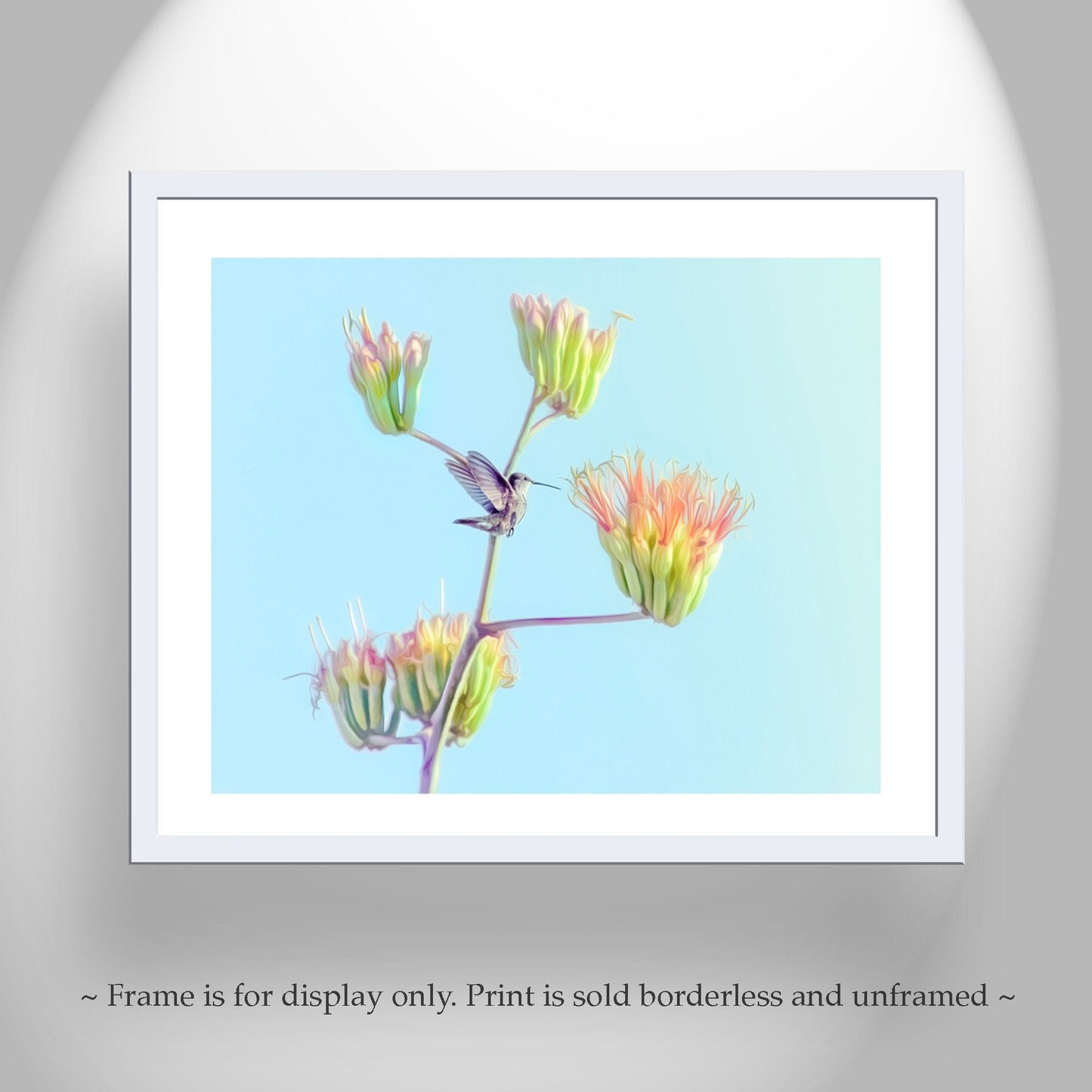 Hummingbird Artwork on Spring Arizona Desert Agave