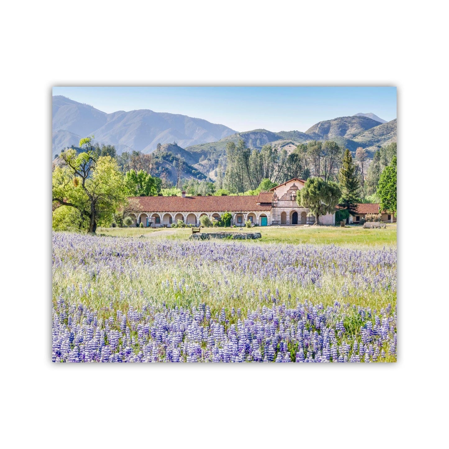 Lompoc Art at Mission San Antonio de Padua | Spring California Wildflowers