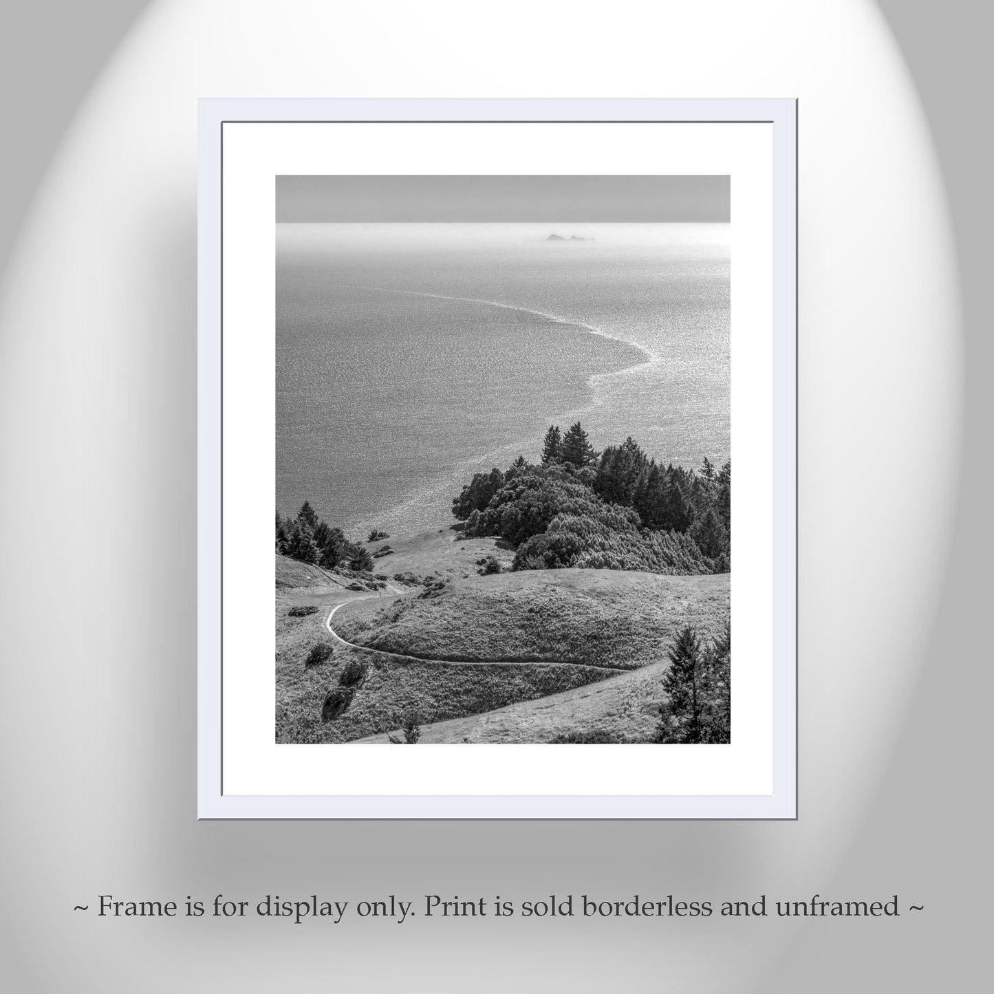 Mount Tamalpais Marin County California Black and White Art