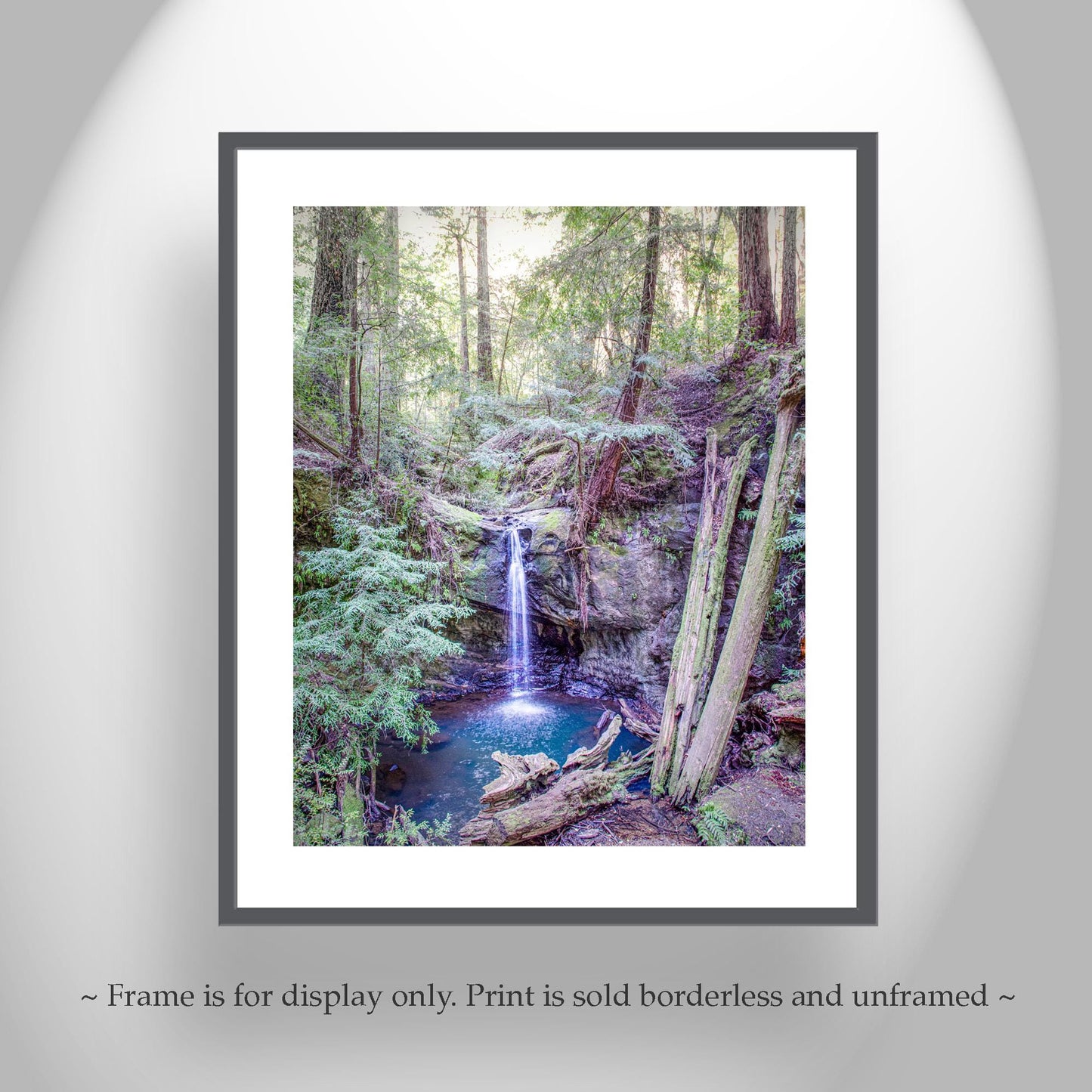 Big Basin California Redwood Forest Waterfall Vertical Art Print
