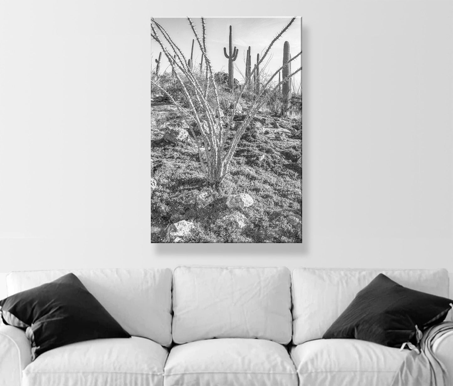 Ocotillo and Saguaro in Black and White | Arizona Desert Art