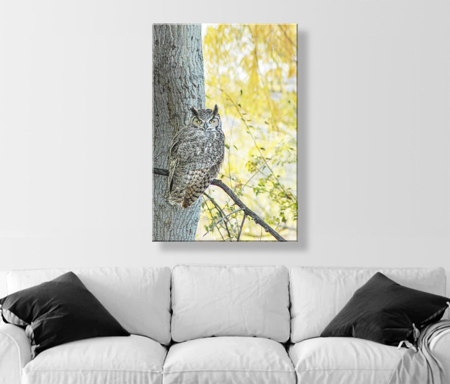 Great Horned Owl Wall Art – Arivaca Arizona Bird Print with Fall Colors