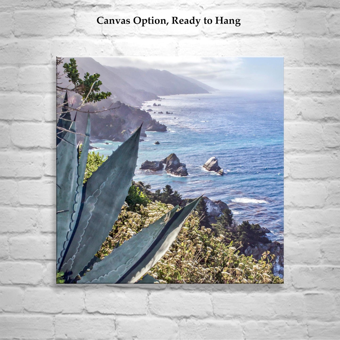 Big Sur Agave Photography Print at California Coast as Home Decor