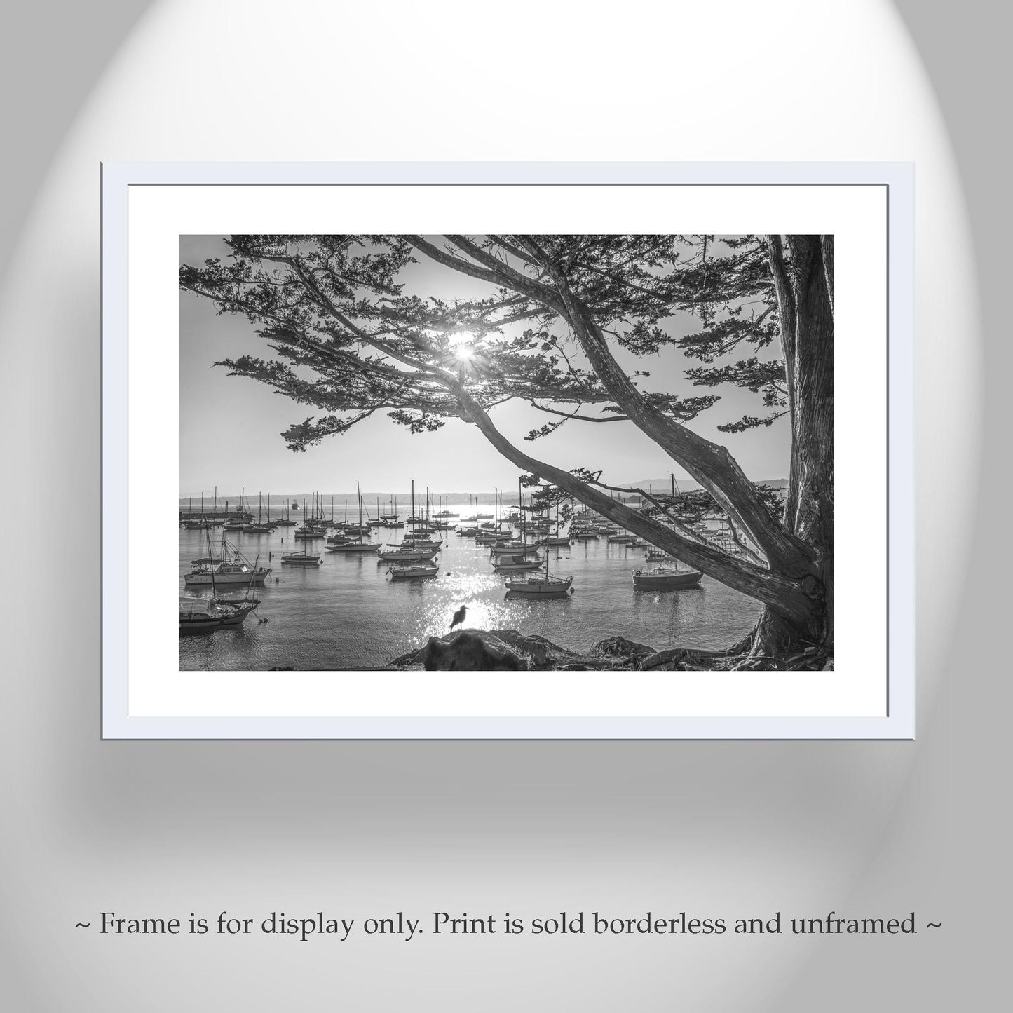 Monterey Bay Sailboat Yacht Harbor Art Print in Black and White
