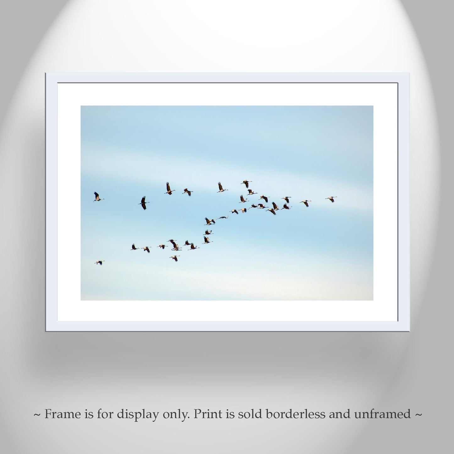 Flying Sandhill Cranes – Southern Arizona Wildlife Fine Art Print