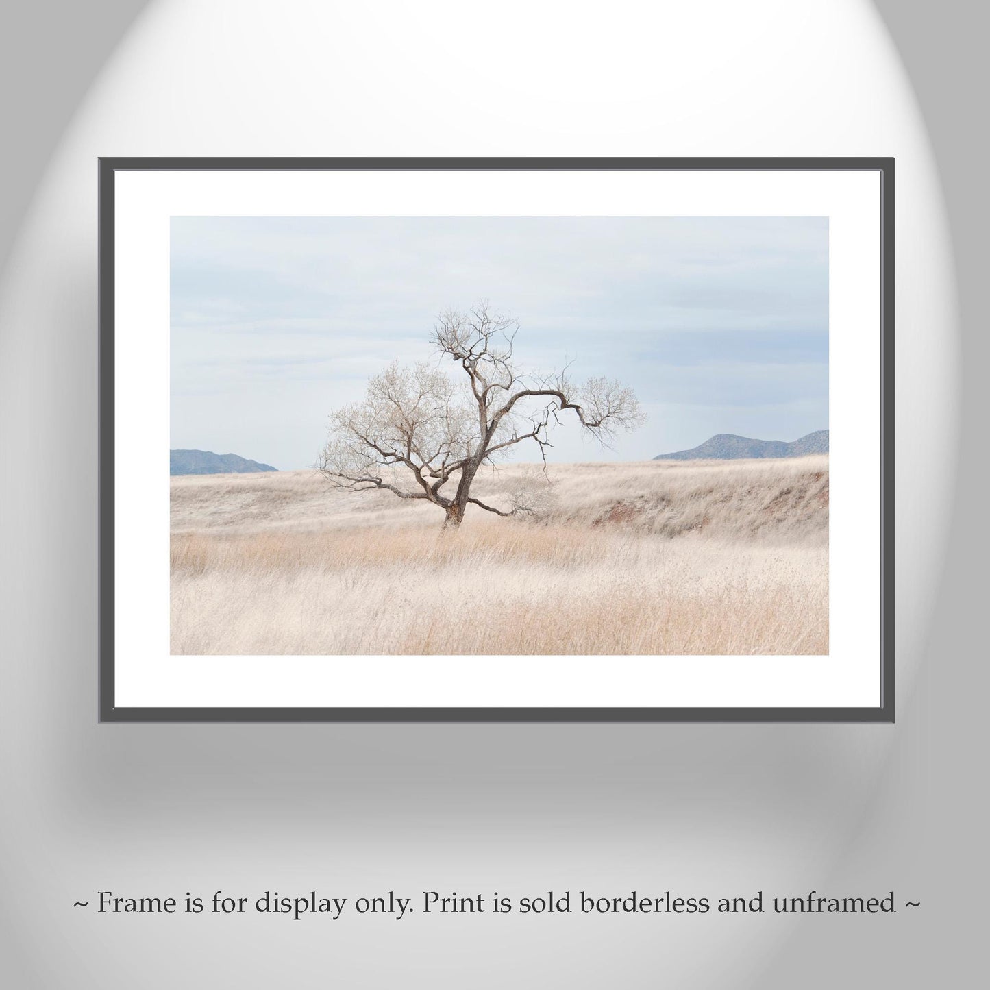 Landscape Fine Art Print of Southwest Prairie Grasslands