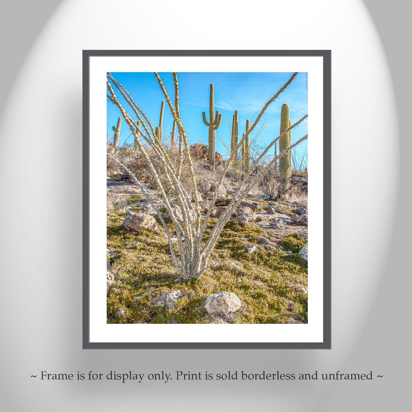 Ocotillo and Saguaro Cactus Landscape in Spring | Arizona Desert Art
