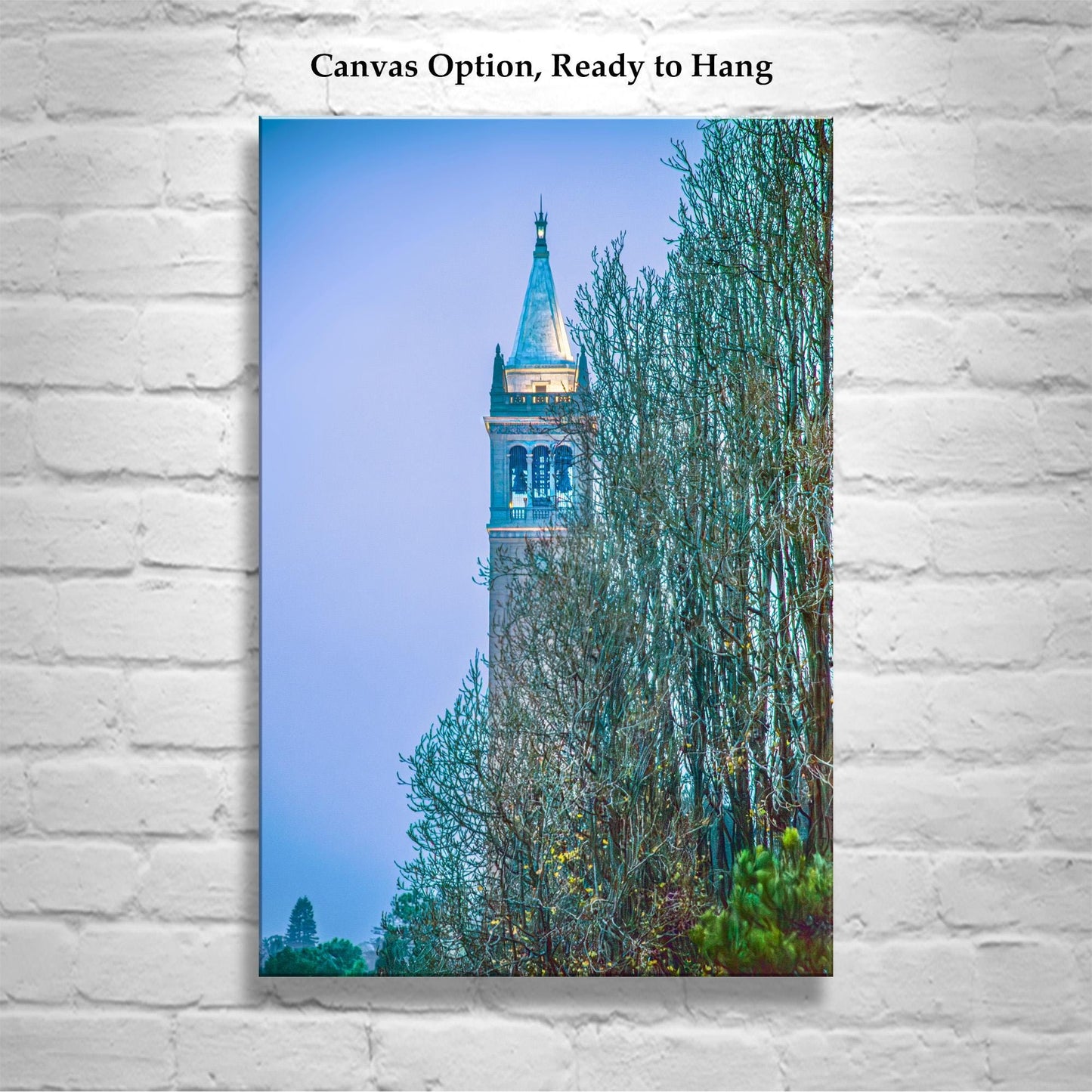 Cal Berkeley Sather Tower Campanile Wall Art – Architecture Photo Art