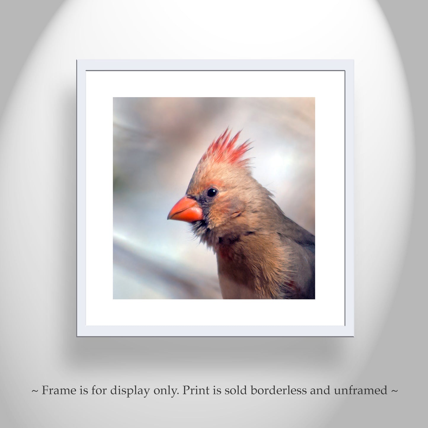 Red Cardinal Bird Art Print | Female Cardinal Bird | Madera Canyon AZ