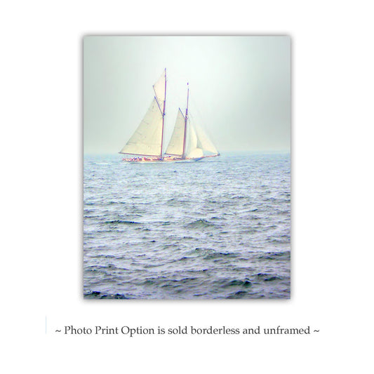 Schooner Sailboat Print – San Diego Pacific Ocean Wall Art