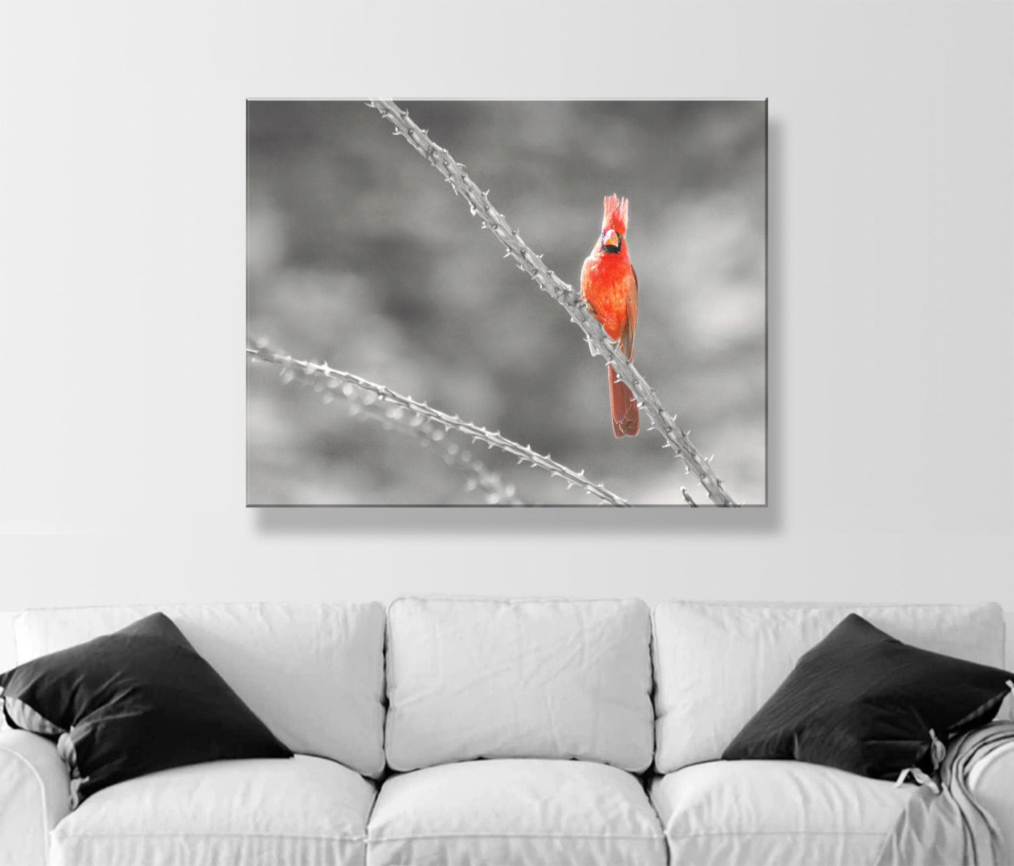 Cardinal Bird in Sabino Canyon with Ocotillo Cactus Wall Art