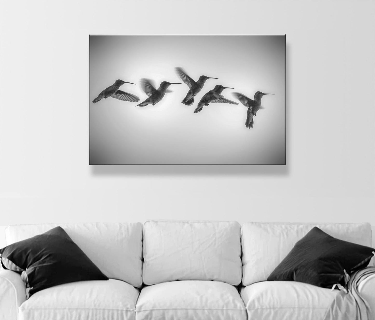 Black and White Hummingbird in Flight Photography Art Print