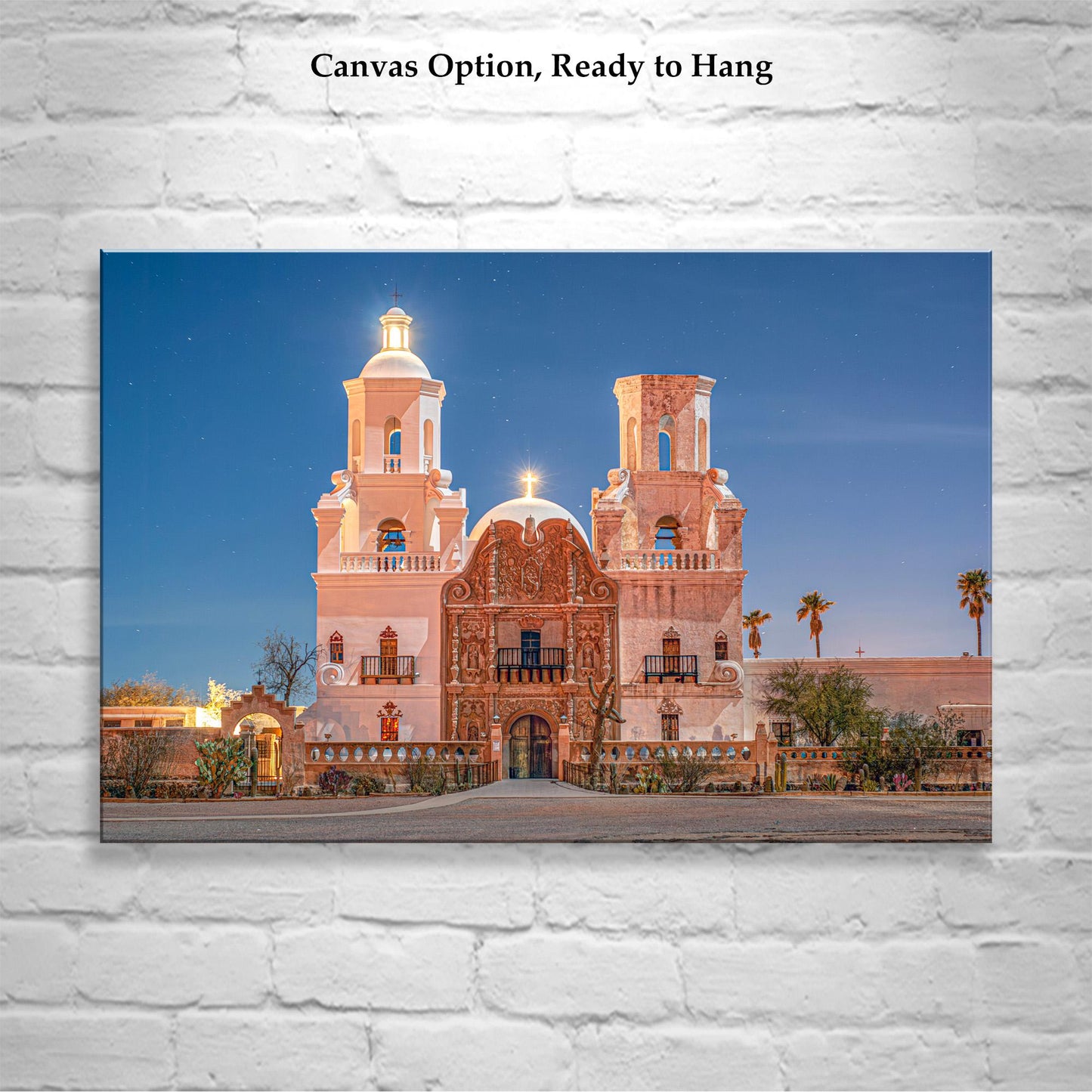 White Dove of the Desert San Xavier del Bac Tucson Mission Night Photo