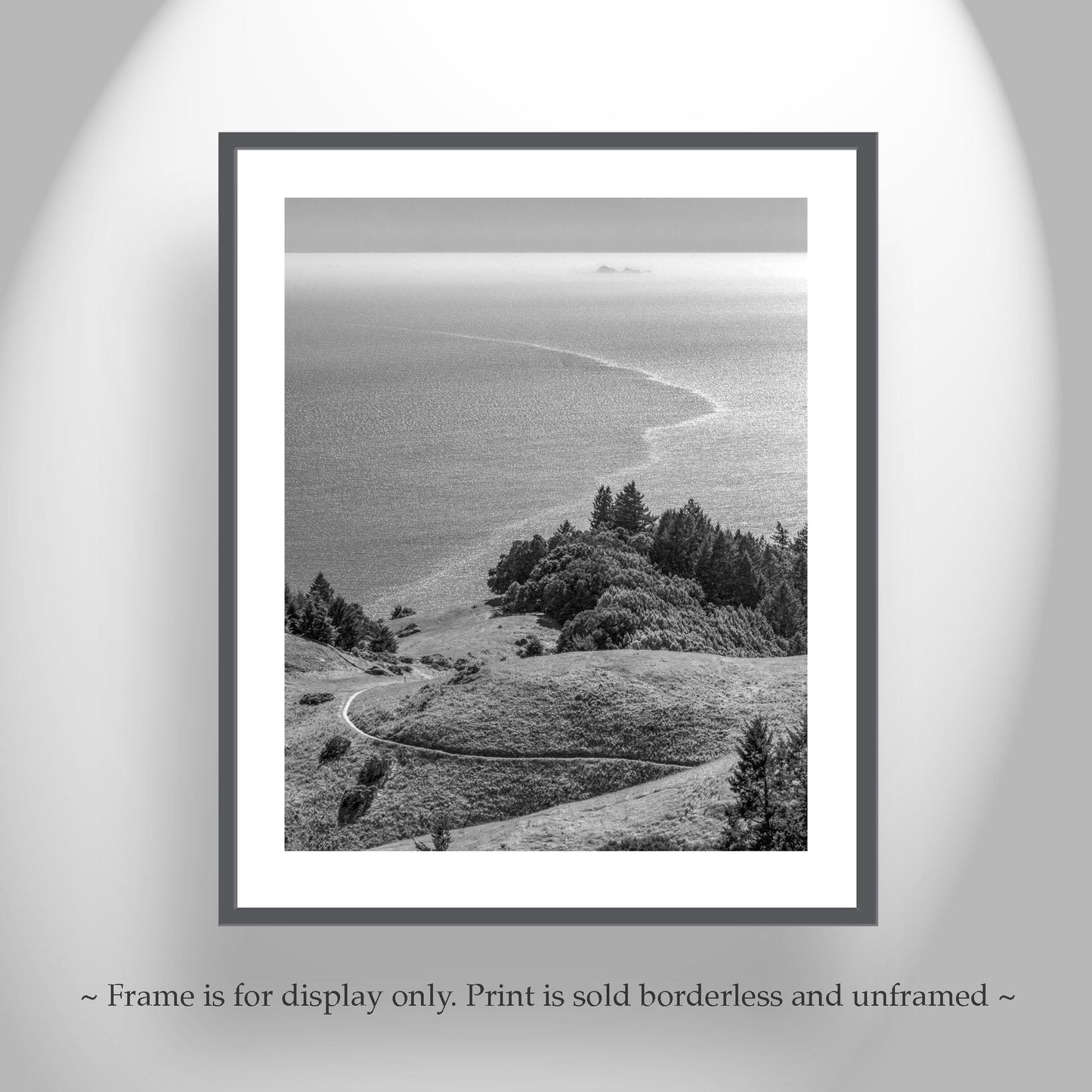 Mount Tamalpais Marin County California Black and White Art