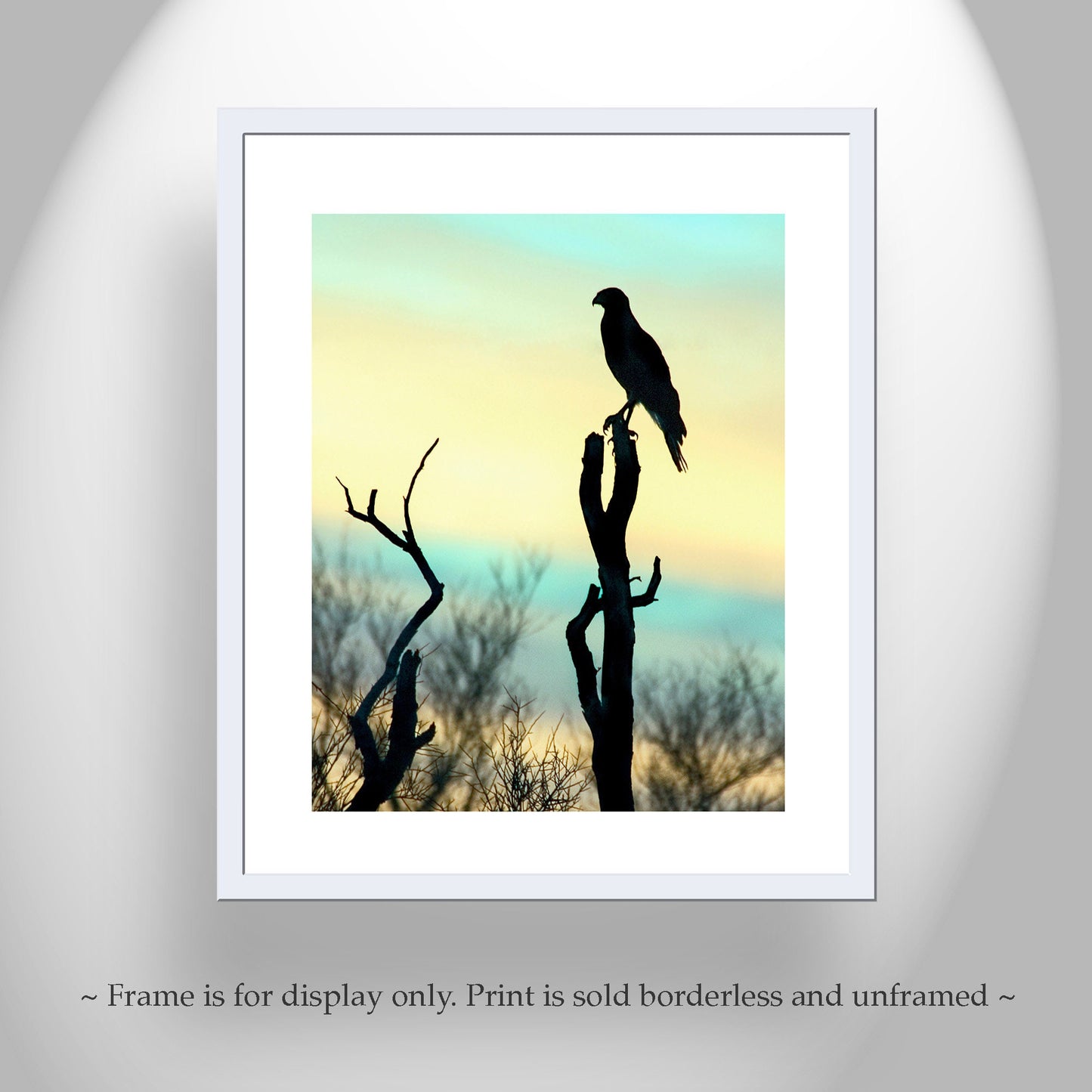 Desert Hawk Sunset Wall Art – Red Tail Hawk Silhouette Art Print