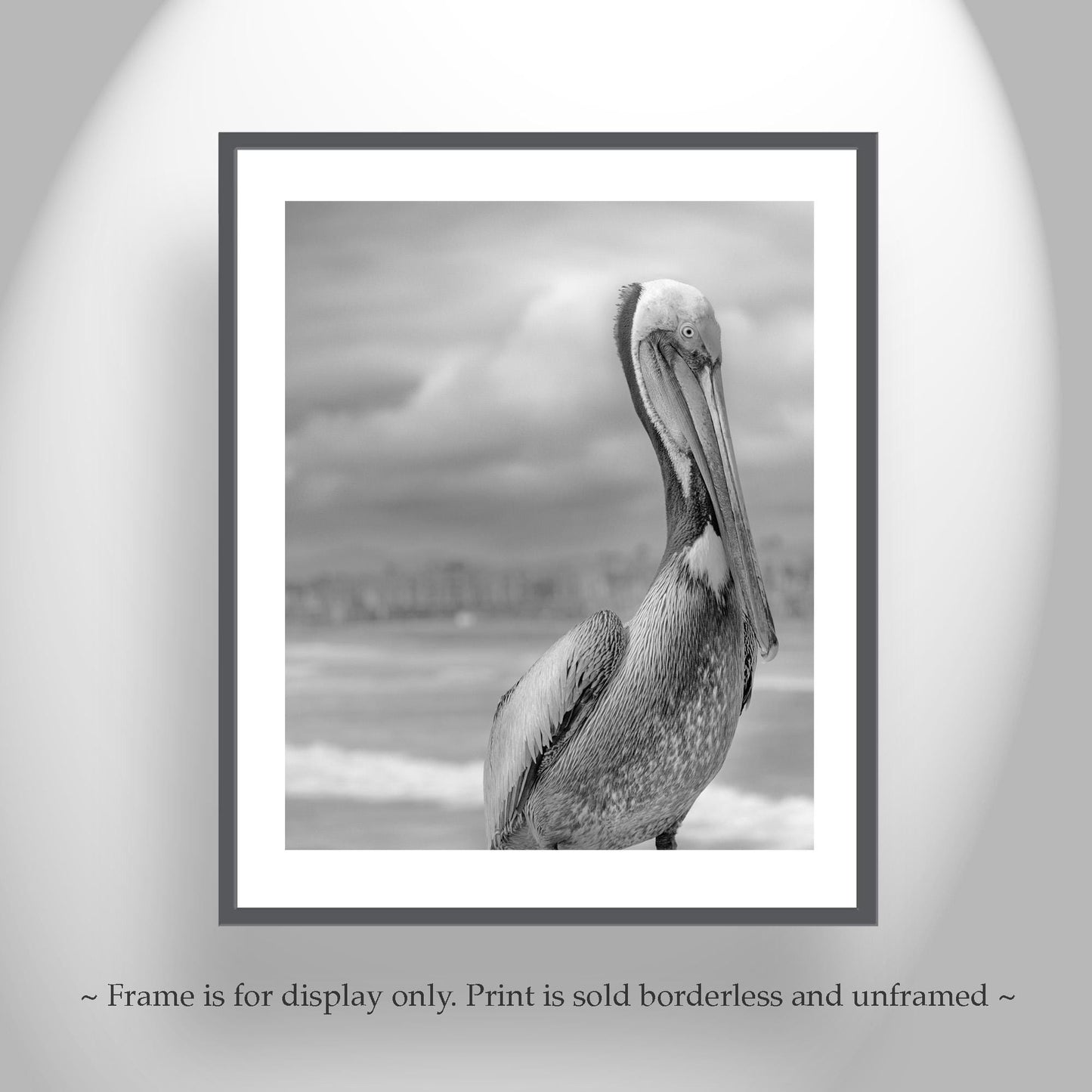 Pelican Art in Black and White | Sea Bird Photography at Oceanside Pier, San Diego California
