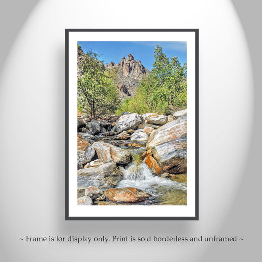 Sabino Canyon Tucson Arizona Landscape Photograph
