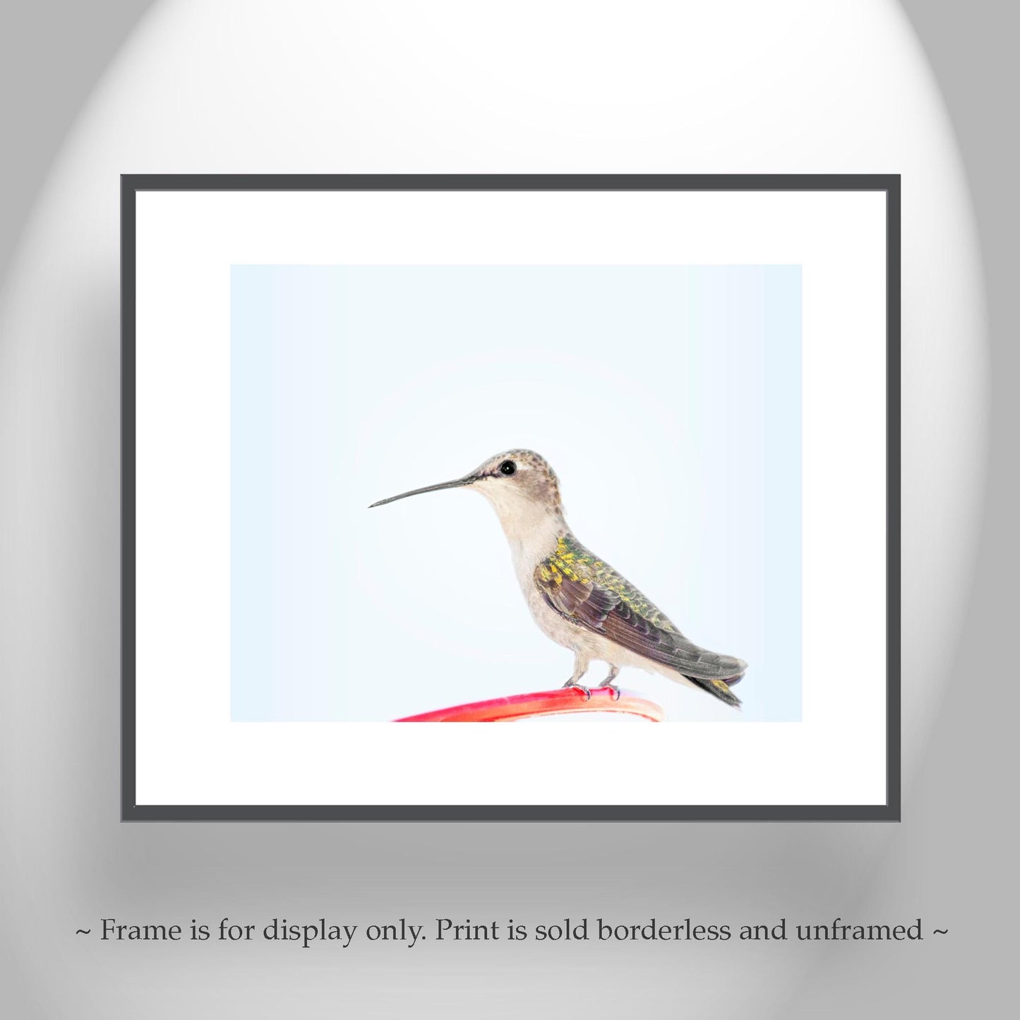 Hummingbird Art Fine Art Print as Serene Minimalist Wall Art