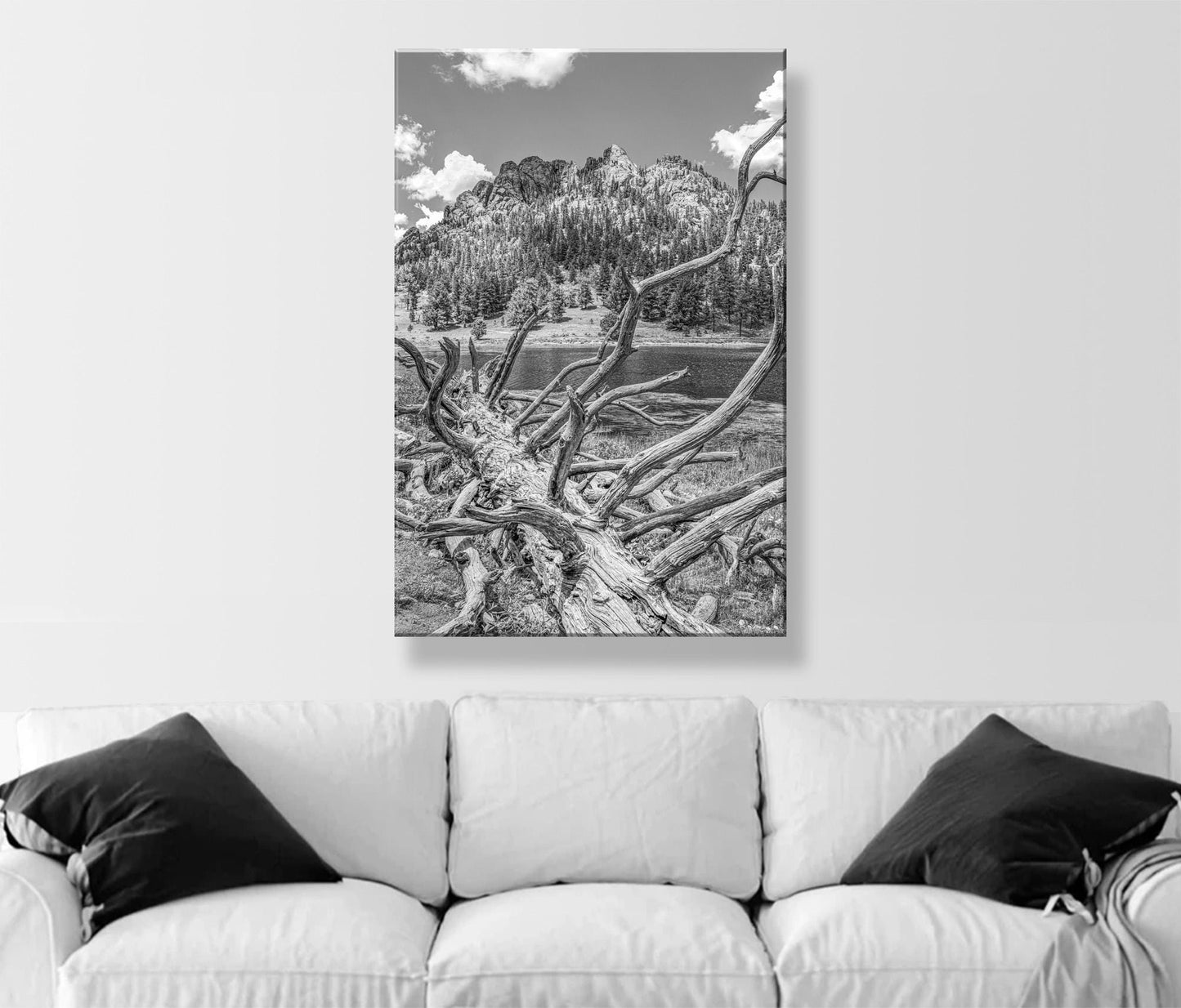 Colorado Photography in Black and White with Rocky Mountain Lake
