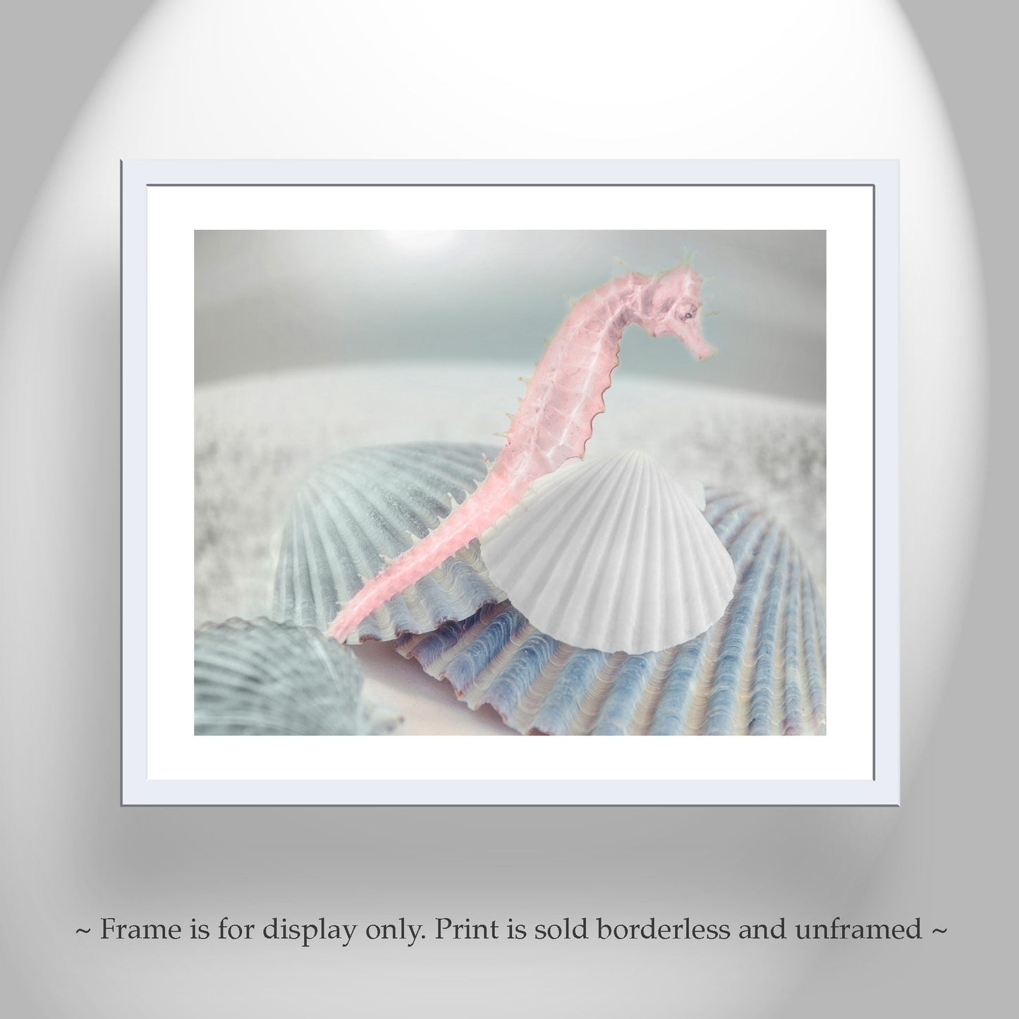 Bathroom Wall Decor with Seahorse | Surreal Seashell Art Photo