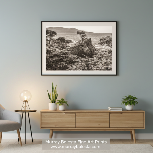 Lone Cypress Pebble Beach Art Print in Black & White - Carmel CA